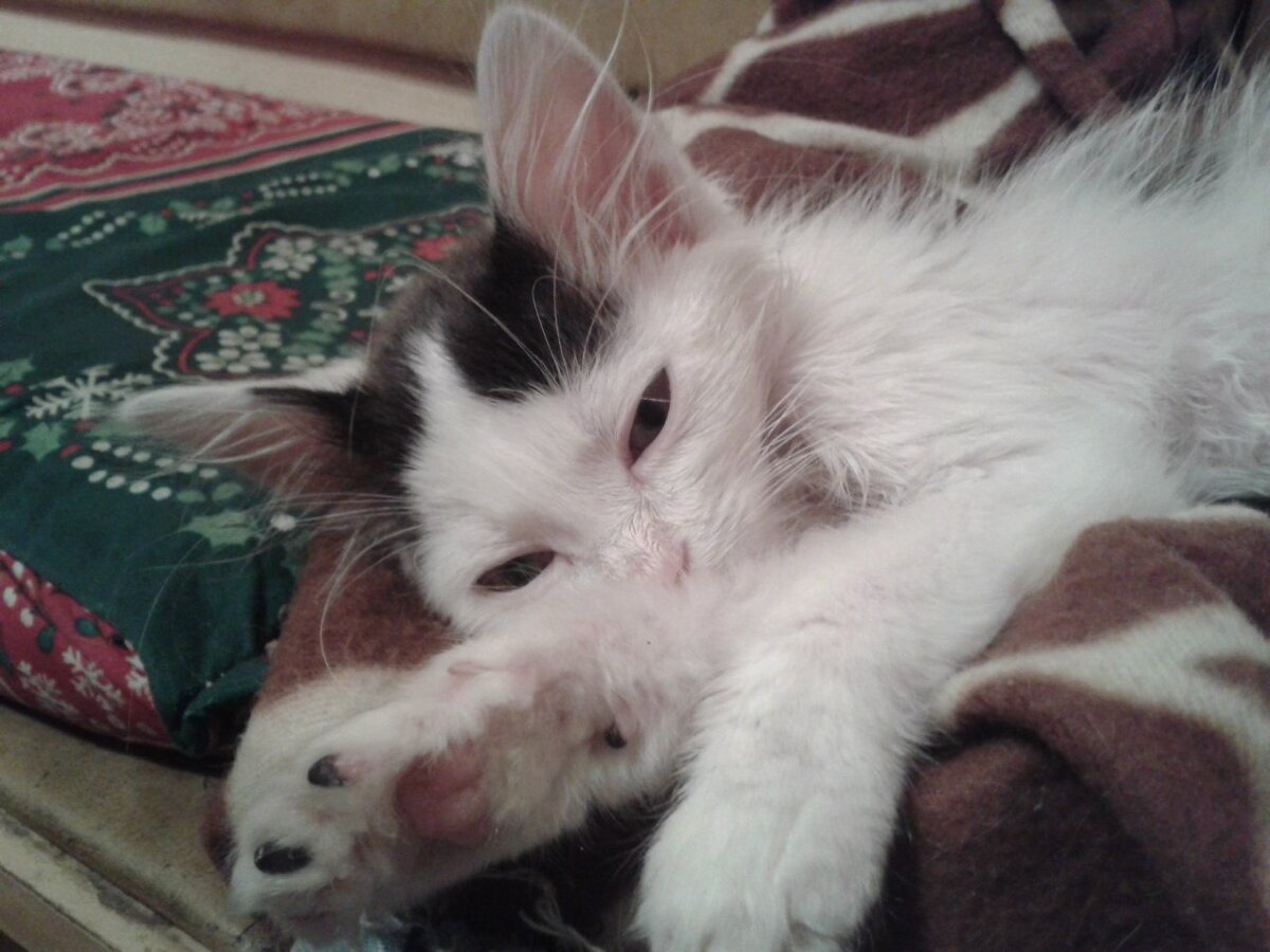 первый день после больницы