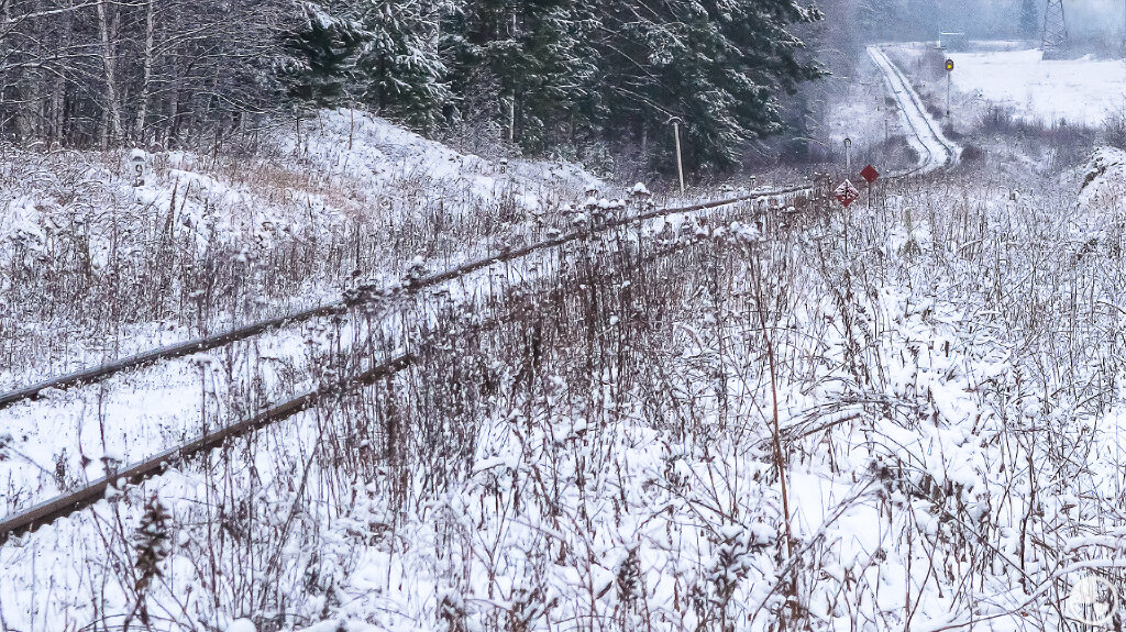Смотрю направо - нет никого...