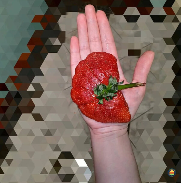 Огромная клубника, Крупный фрукт