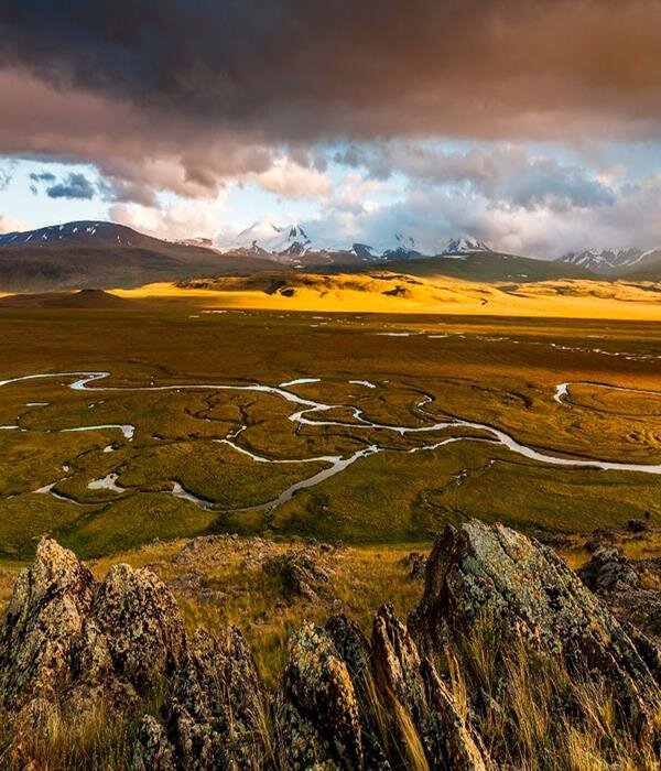 Источник: Яндекс. Картинки.