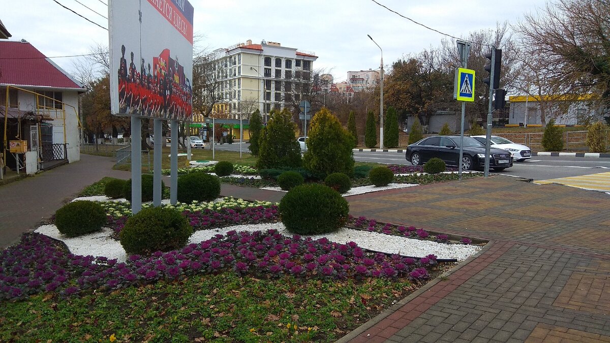 Середина декабря, а клумбы все еще зеленые (фото автора)