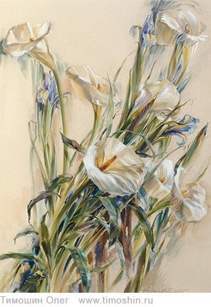 Цветы каллы в живописи Олега Тимошина