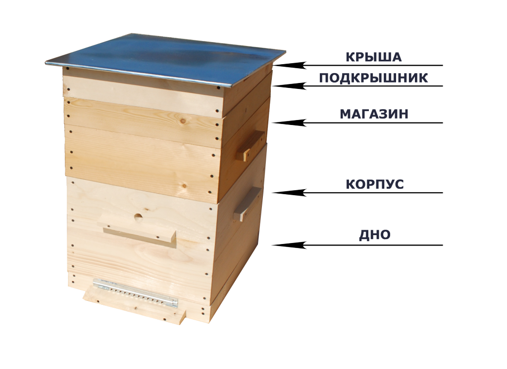 Улей для пчёл своими руками: чертежи, размеры, различные конструкции