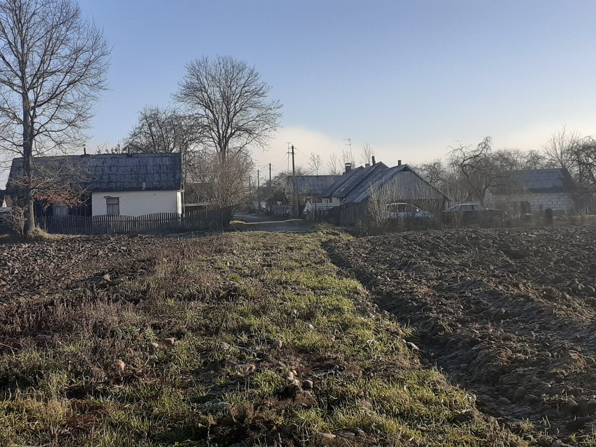 У нас в деревне всего одна улица. Только не пугайтесь, это фотография с поля, поэтому всё распахано.