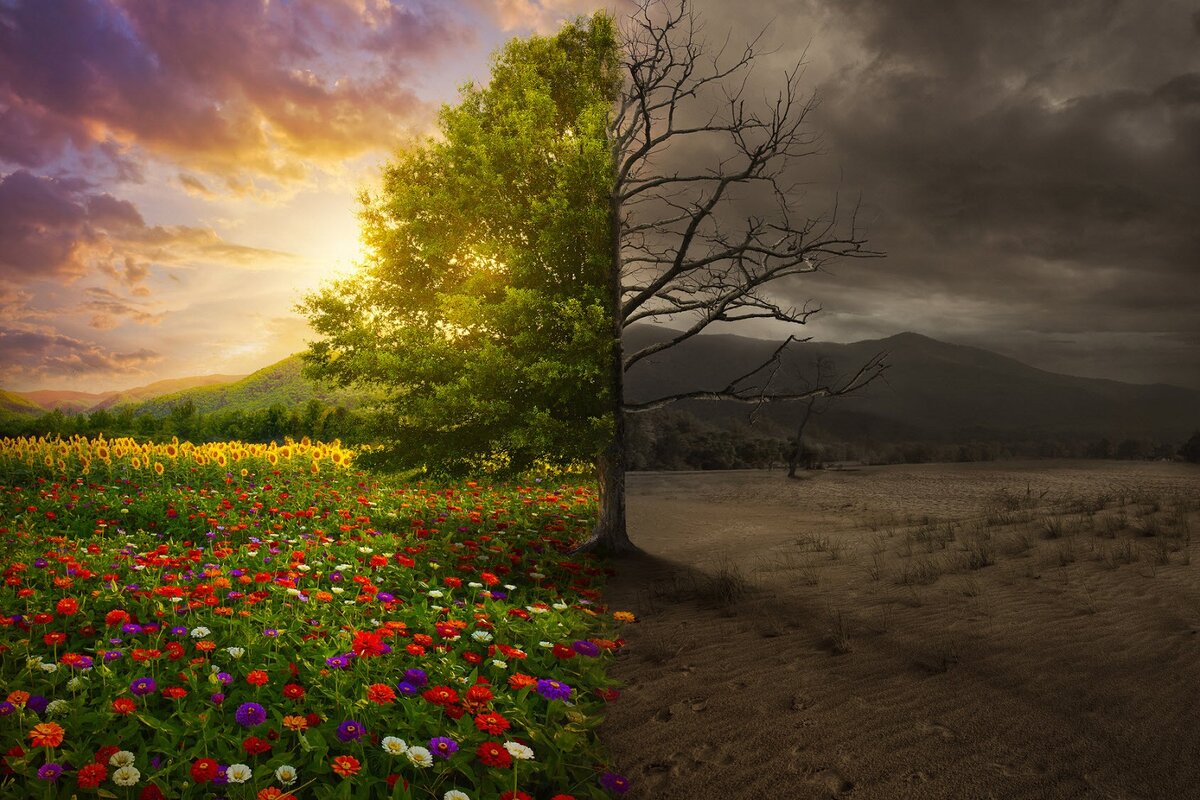 Новогодний, полуночный час