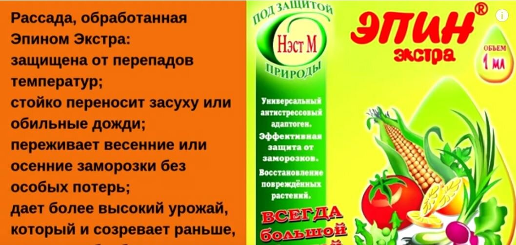 Эпин