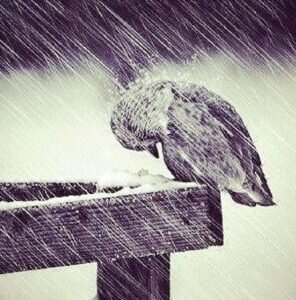 Терпение... правильно ли мы понимаем, что это слово означает?