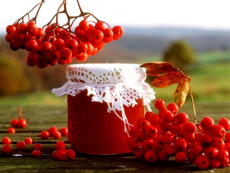 Фото с сайта jenskiymir.com