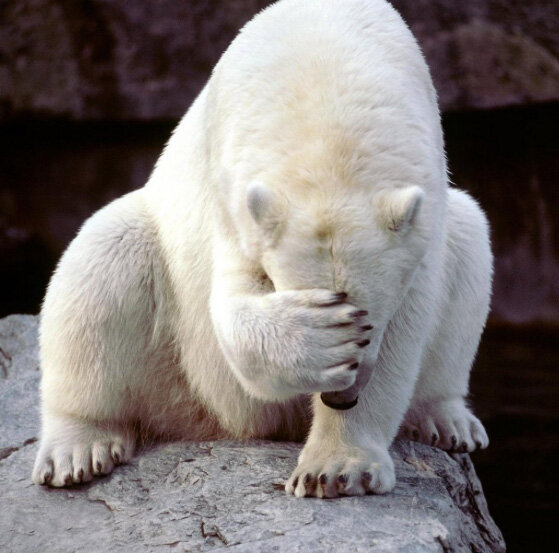 Важный навык влияния – уметь помочь человеку сохранить лицо, защитить его от страха позора  