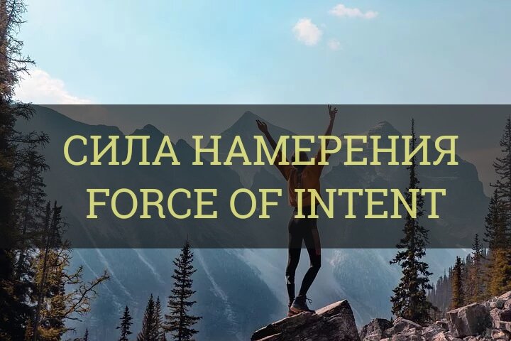 Сила намерения читать. Сила намерения читать