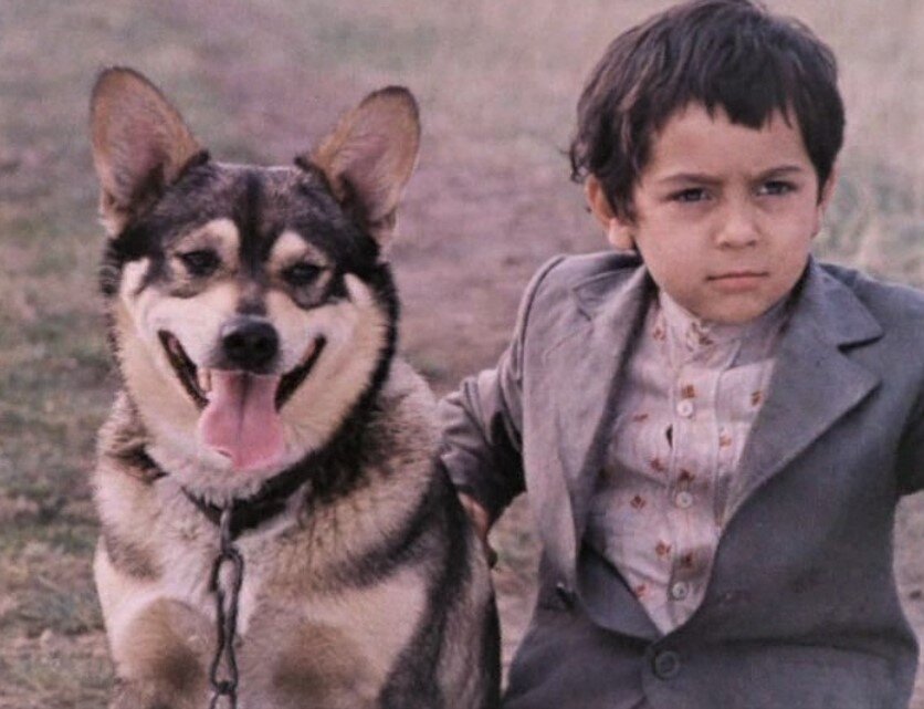 Кадр из фильма "Мужики!..."