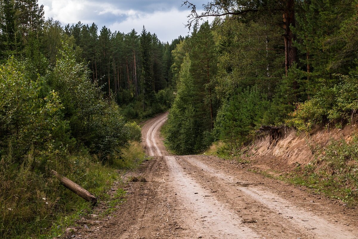 Большая проезжая дорога. Лес Проселочная дорога Россия. Проселочная дорога Карелия. Дорога в лесу. Лесные дороги.