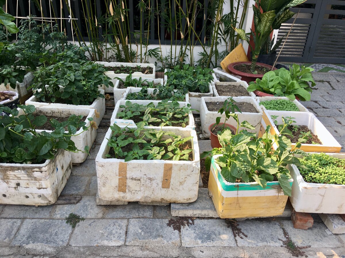 Тот самый огородик с фото выше, только вблизи.