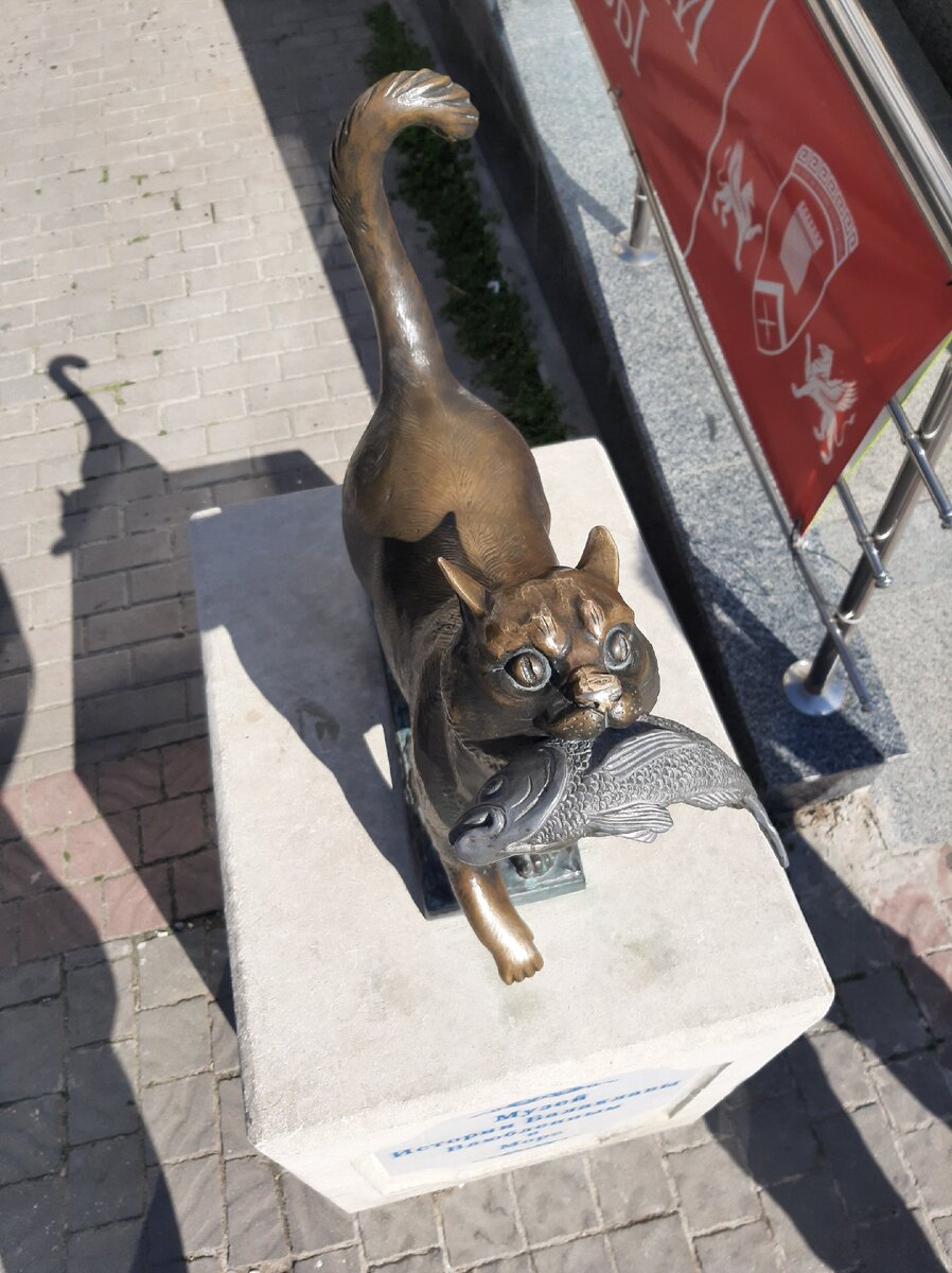 "Балаклавский Кот"
