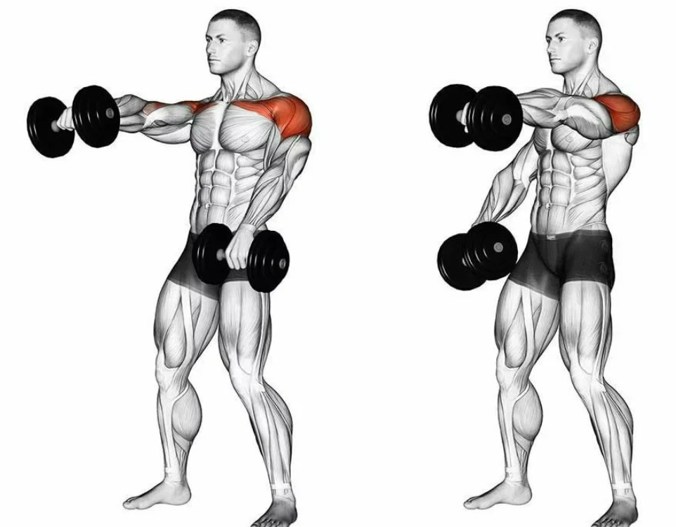 Тренировка плеч с гантелями