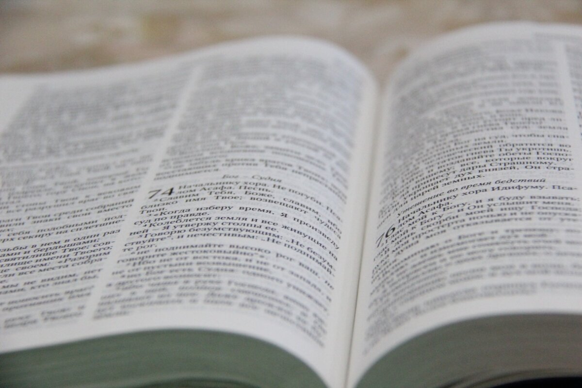 Нагваль Модест об энергии. Цитаты.