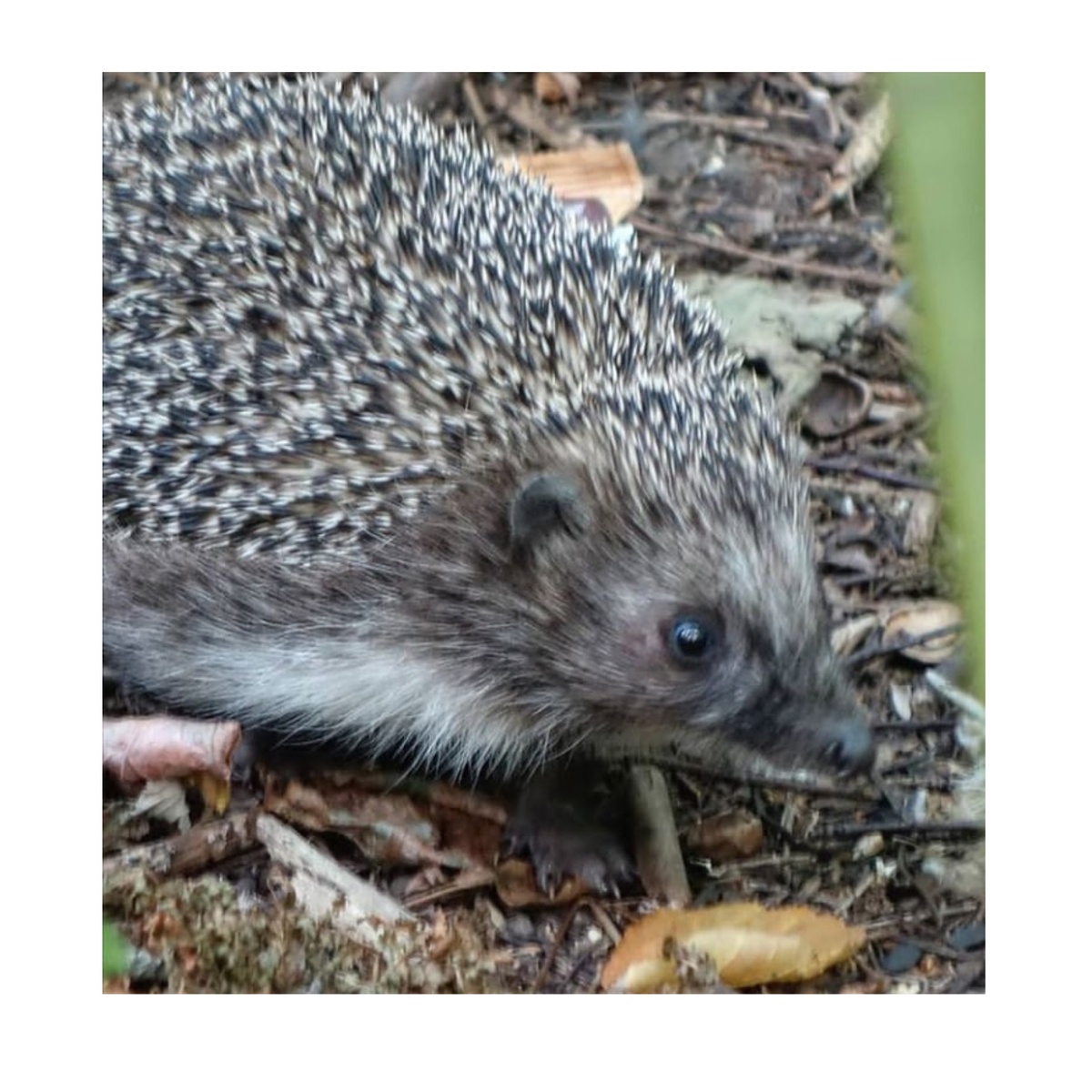 Фото автора. 