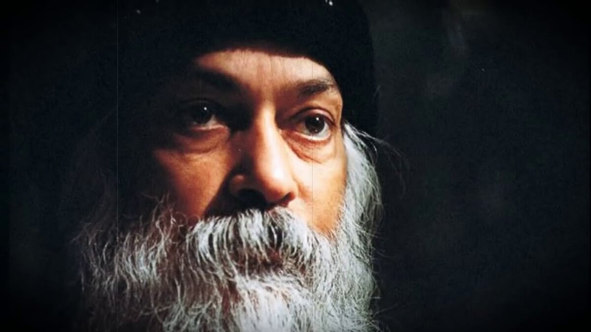 изображение из сети интернет и в свободном доступе