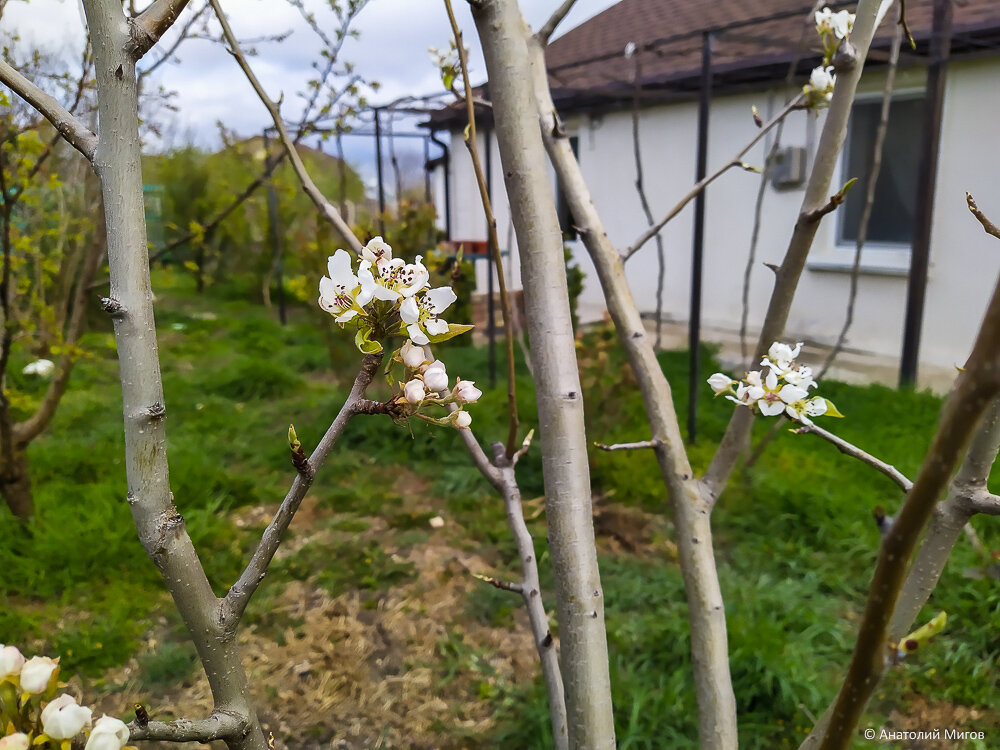 Дневник самоизоляции, День 20-й. В Крыму дождь, ура!