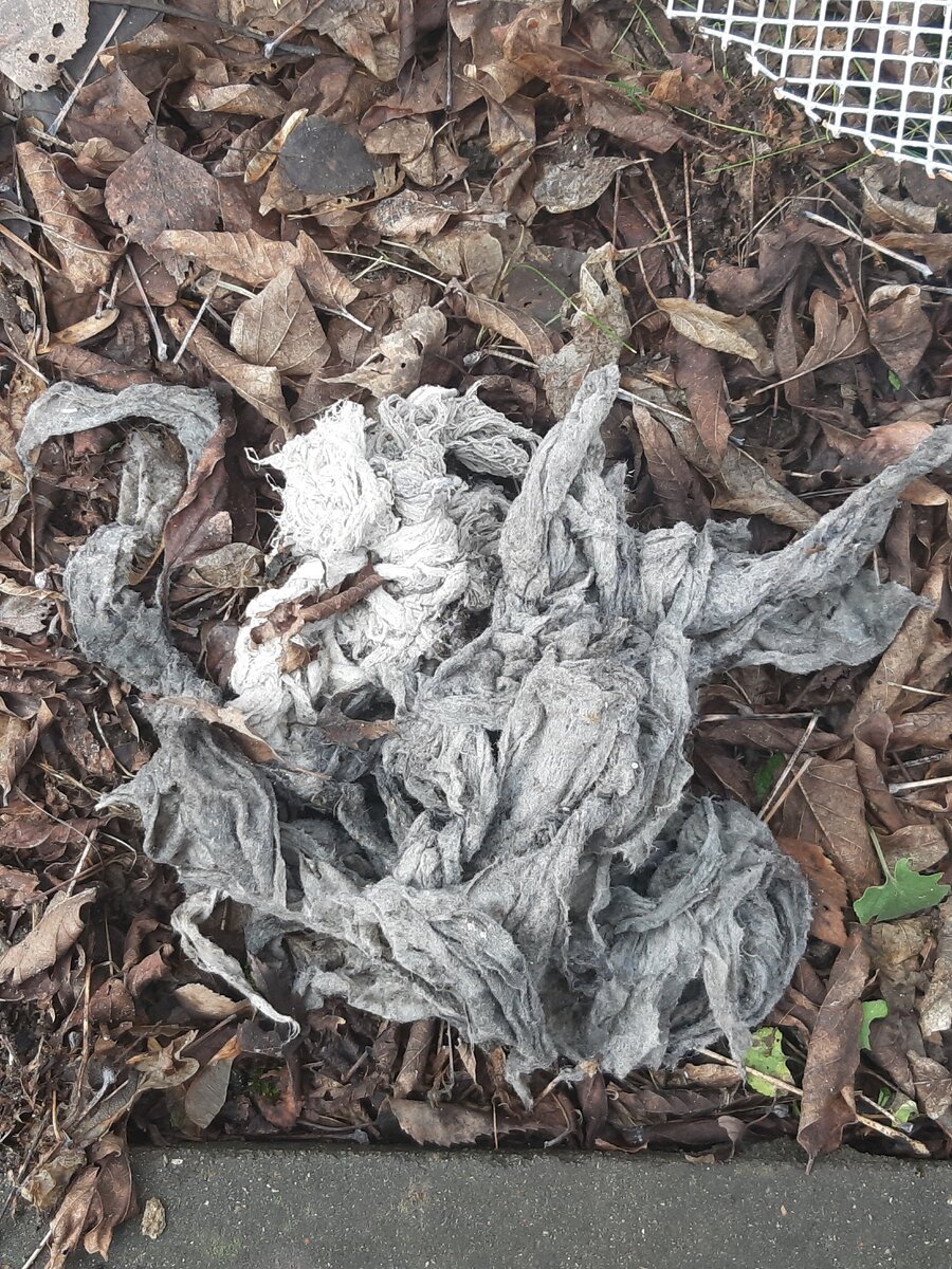 Фото извлеченного частично засора из антибактериальных салфеток.Это меньшая часть. Большую пробили напором воды внутрь канализации.