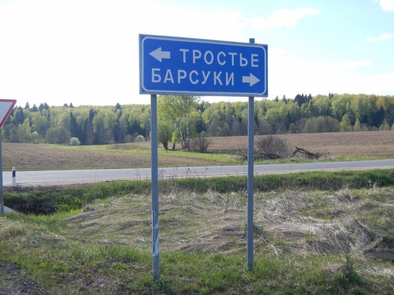 Погода в тростье