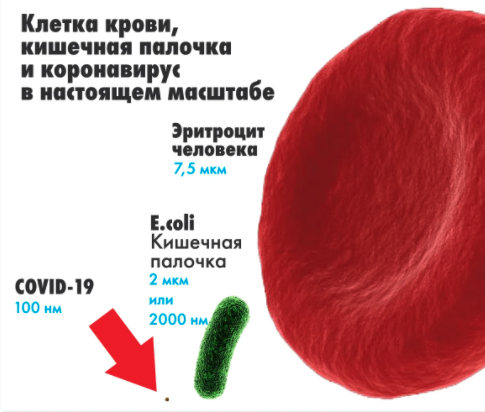 на Yandex Zen есть отдельная статья, у профильного автора,  про сравнение размеров, и она потрясает (фото от туда)