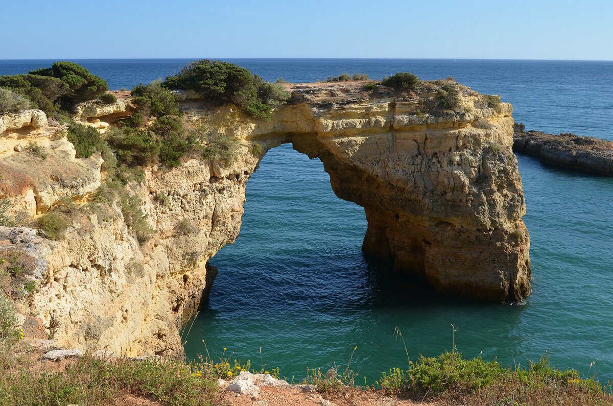 фото из личного архива. сделано мной
