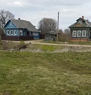 Моя улица
