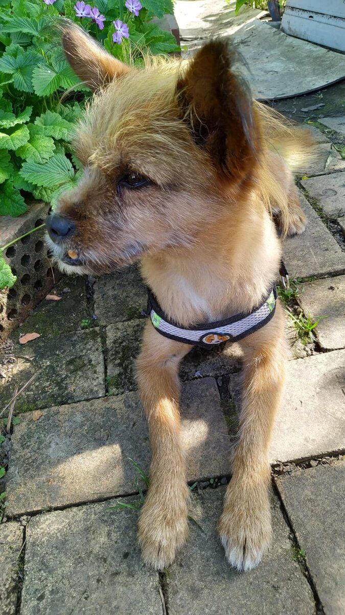 После трудового дня