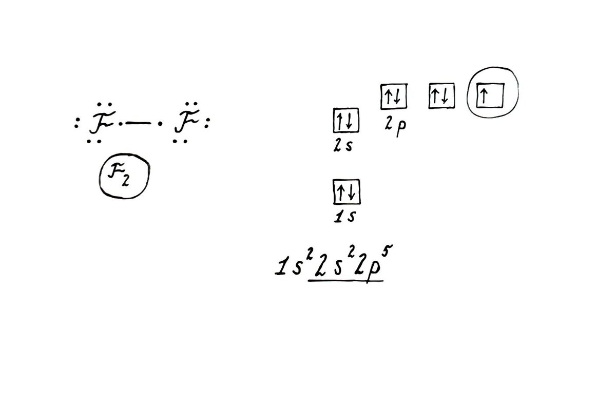 Фтор энергетические уровни схема. Графическая формула фтора. Схема фтора. Электронная формула фтора. Электронно графическая схема фтора.