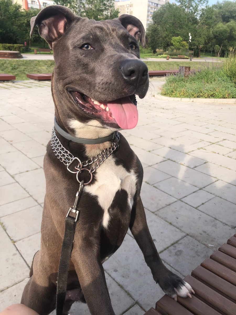 фото из личного архива