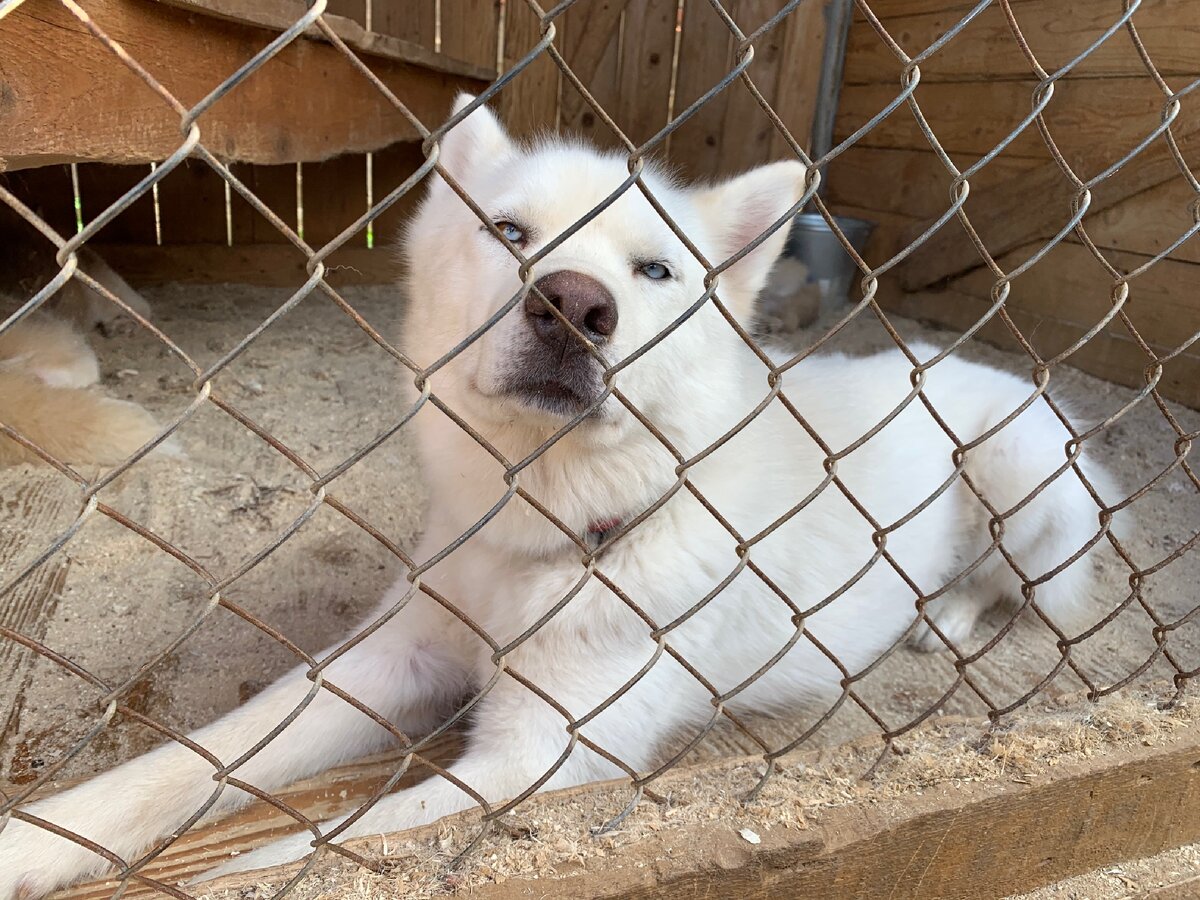 Всем пламенный привет! Ну как вы готовы к выходным? Не бойтесь смотреть глаза в глаза, ведь там истина! Не важно кто перед тобой, глаза 👀- не обманут, в глазах вся правда!