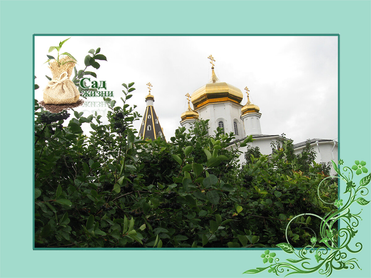 Монастырский сад и огород в Свято-Троицком мужском монастыре
