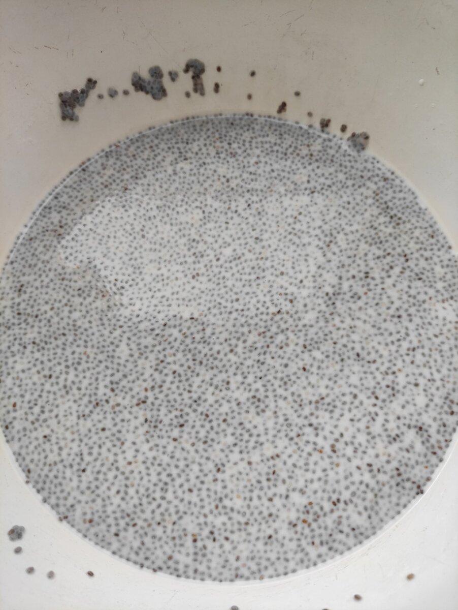 В молоко добавил семена