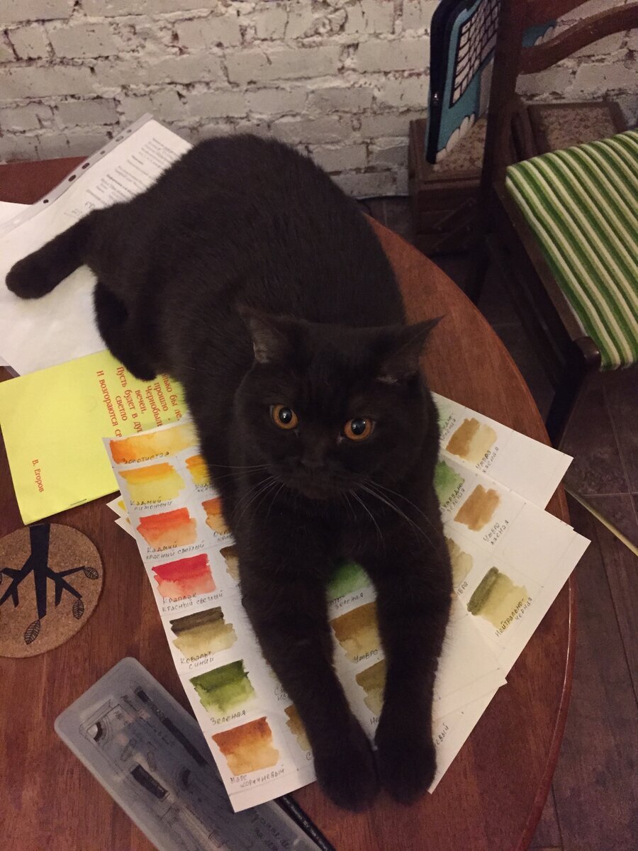 Фото автора. Киса помогает делать выкраски :)