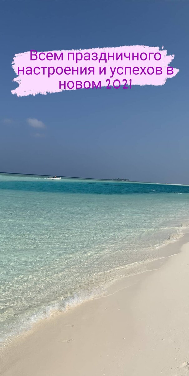 Фото Алоя Евро пул 