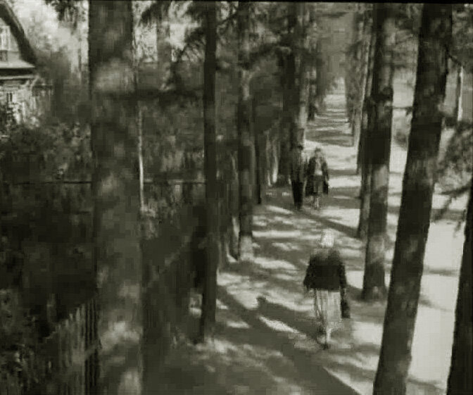 Аллея листвинниц на Измайловском проспекте. Кадр из фильма "Трое вышли из леса".