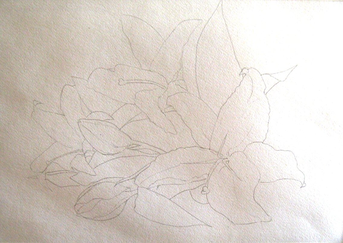 Первый этап - рисунок