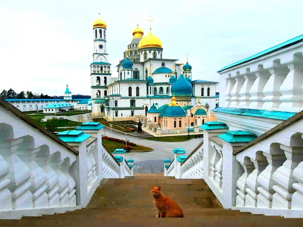 Новоиерусалимский монастырь в Истре. Воскресенский Новоиерусалимский монастырь. Истра новый Иерусалим монастырь. Воскресенский собор Новоиерусалимского монастыря Истра.