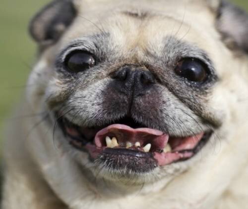 Долгосрочные последствия