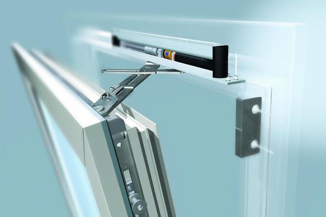 Изображение взято из открытых источников