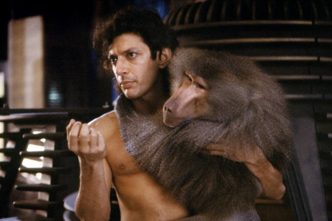 Кадр из фильма "Муха". Режиссёр – Дэвид Кроненберг