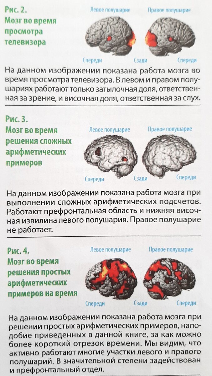 Если вы не хотите встречаться с болезнью Альцгеймера, то эта статья для вас  | ТРИ ПОКОЛЕНИЯ | Дзен