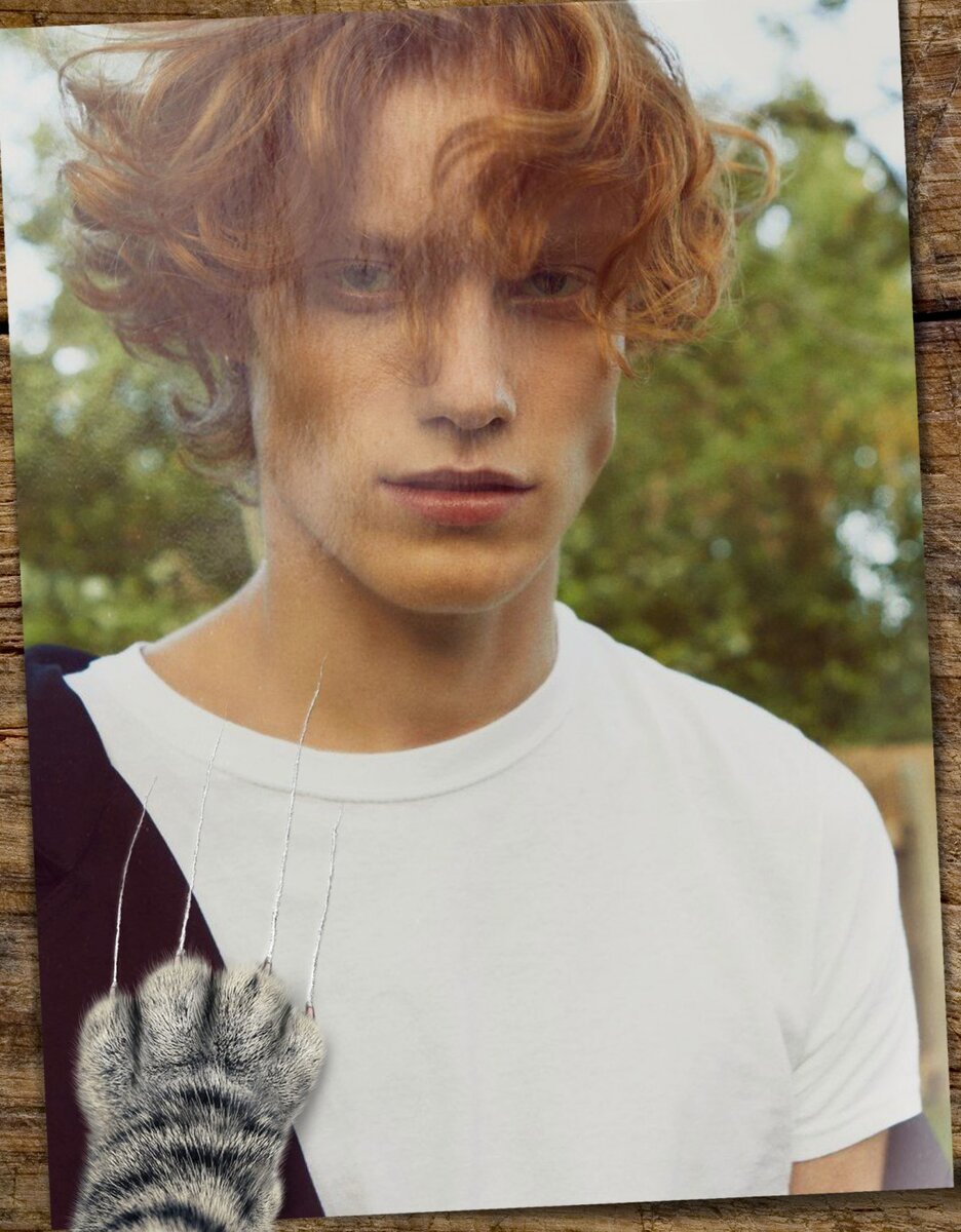 Фото обработано в редакторе.