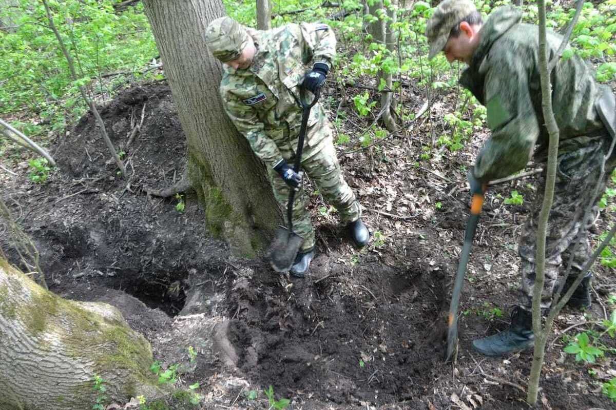 картинка с открытых источников @yandex