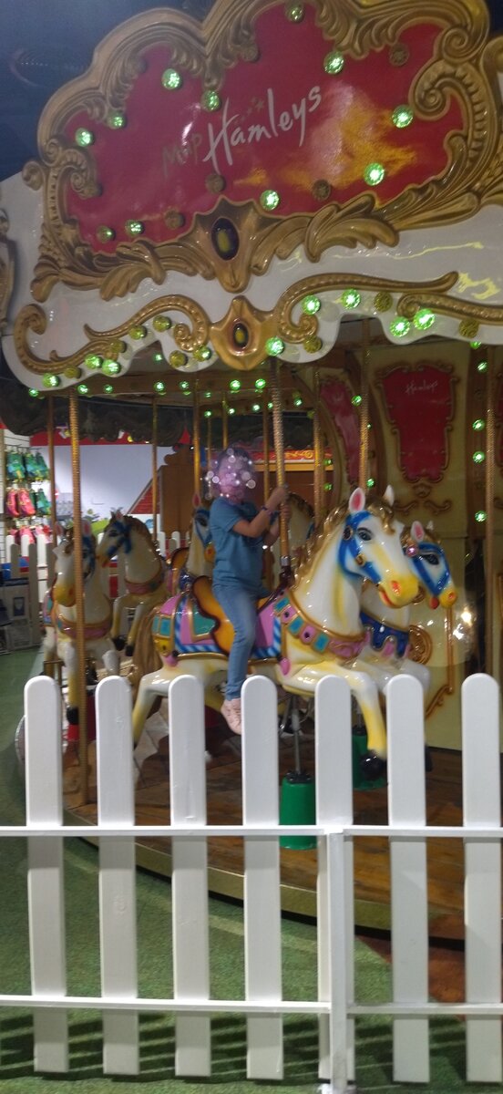 Карусель в Центральном Детском Мире. Прогулка моя. 