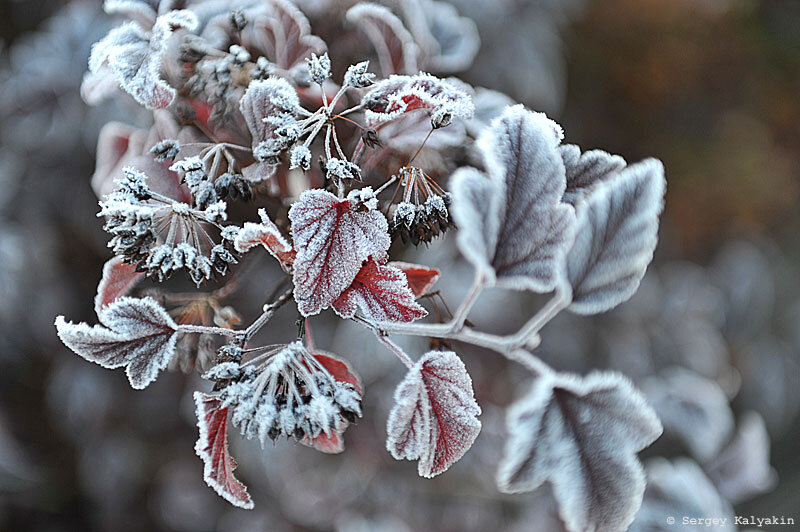 2 фото, листайте