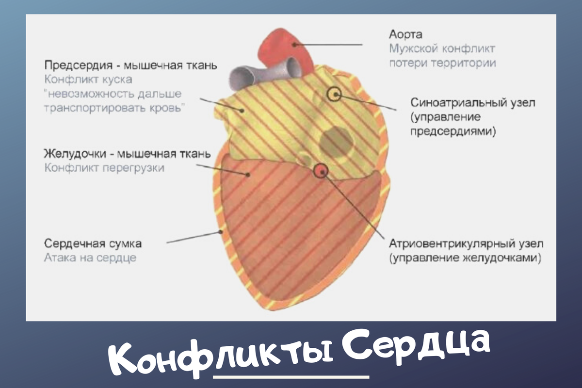 Сердце болит. Отчего? Анализируем | здрава с Александром Крыгиным | Дзен