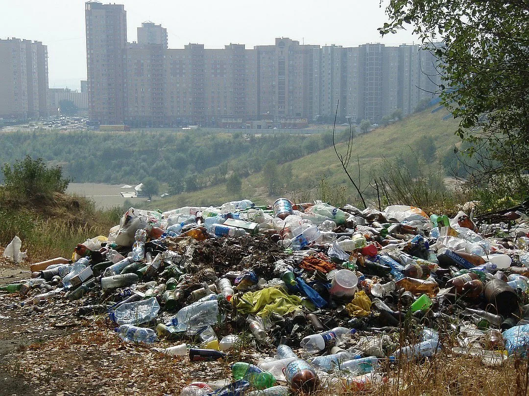 Фото помойки в городе