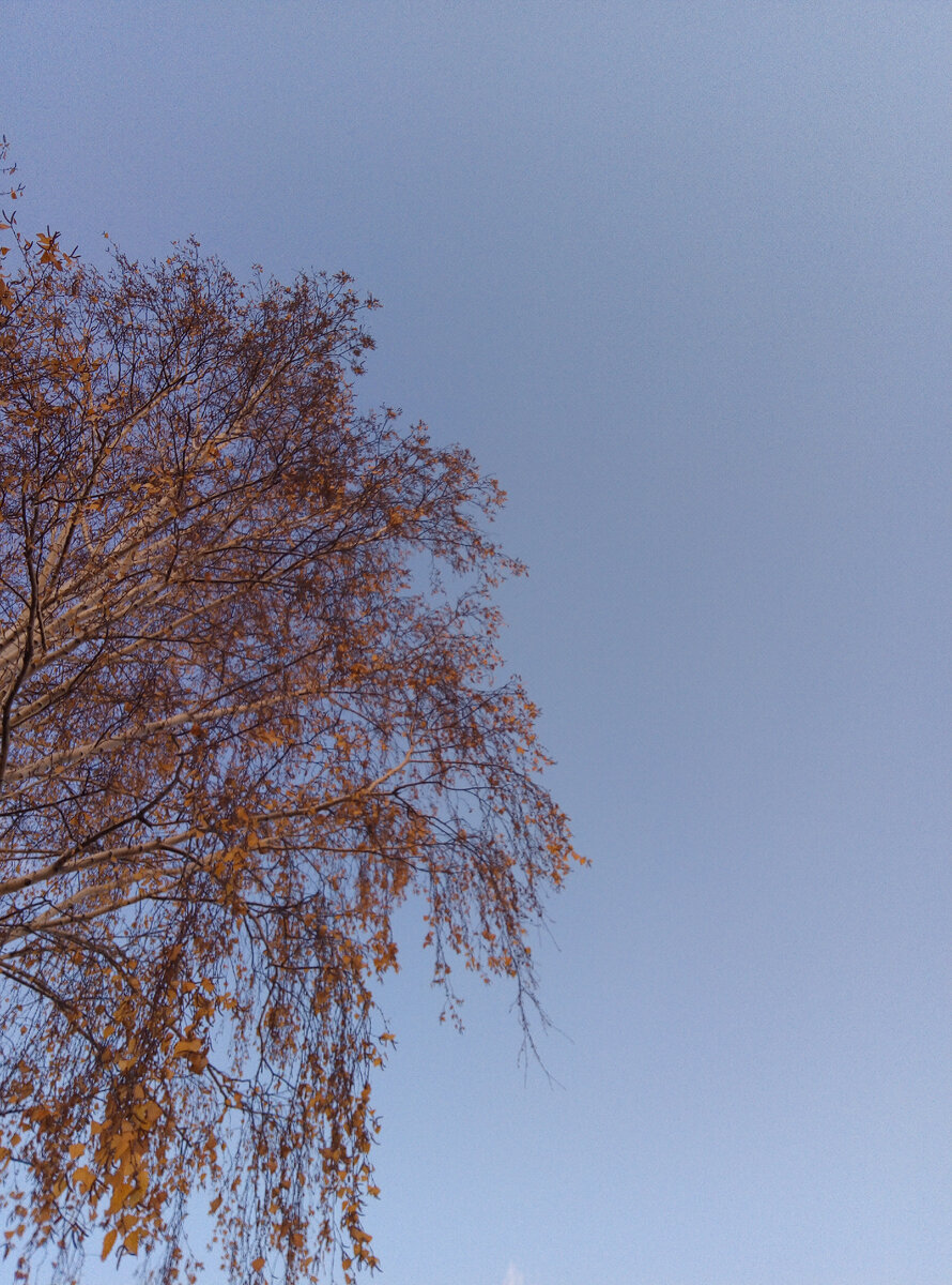 Чистого вам неба! Фото автора